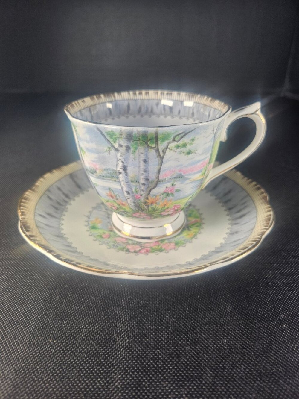 Vintage Royal Albert Silver Birch Tea Cup & Saucer Set Fine Bone China England